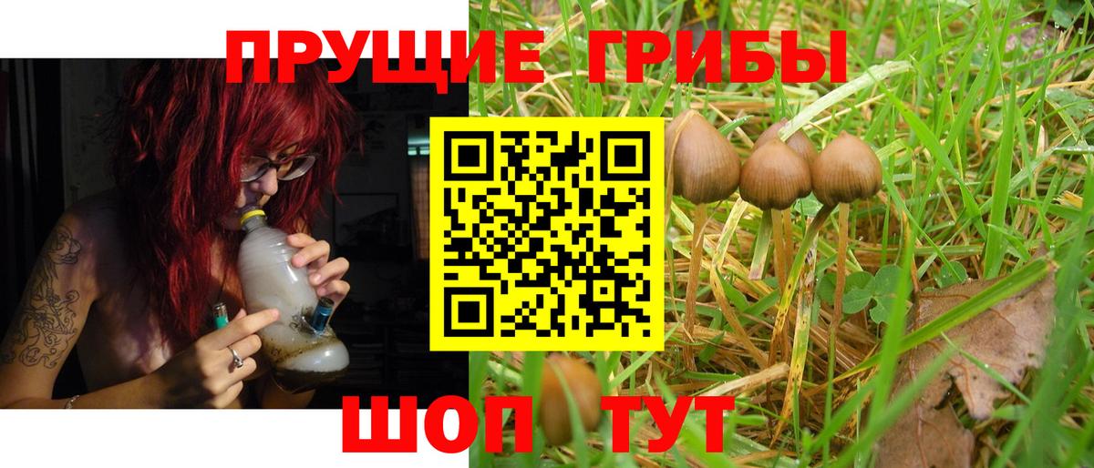 Галлюциногенные грибы ЛСД  Вход с VPN  Галлюциногенные грибы Cubensis  Уварово 